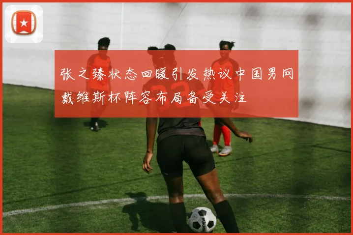 张之臻状态回暖引发热议中国男网戴维斯杯阵容布局备受关注